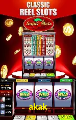 Flash Promotion akak